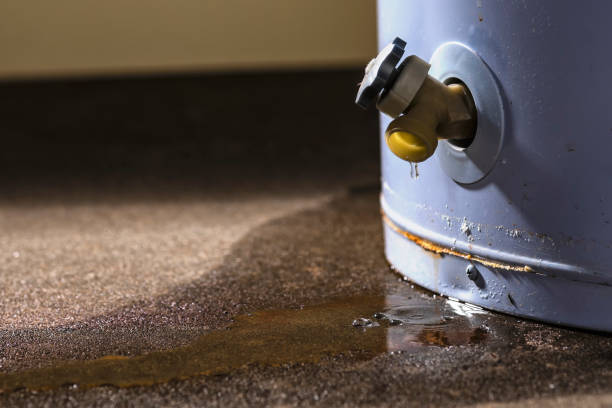 Best Fire Damage Restoration  in , IL