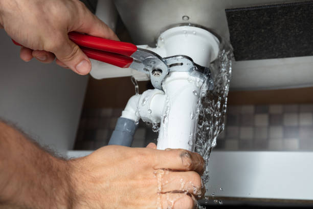 Best Flood damage cleanup  in , IL