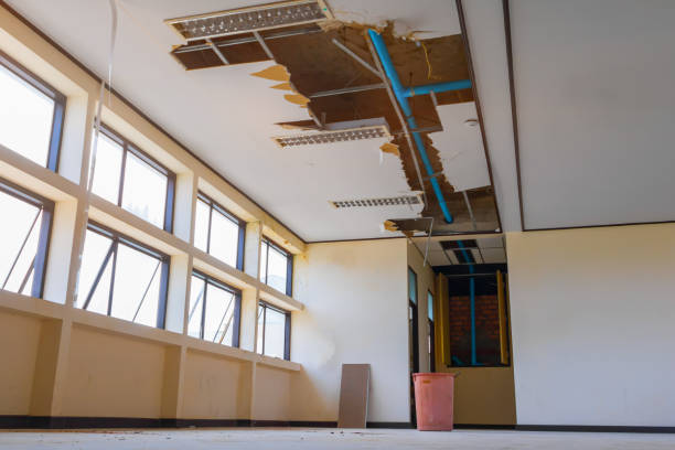 Best Sewage cleanup and water damage restoration  in , IL