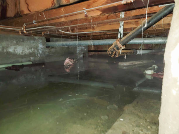 Best Water damage restoration near me  in , IL