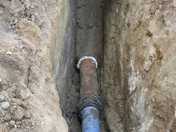 Best Flood restoration services  in , IL