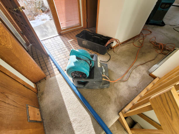 Best Ceiling water damage repair  in , IL