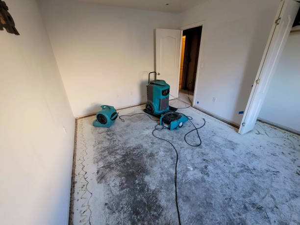 Best Carpet water damage restoration  in , IL