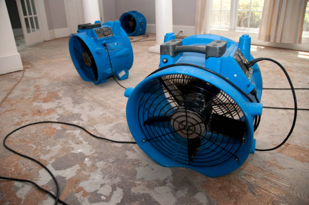 Best Water damage restoration experts  in , IL