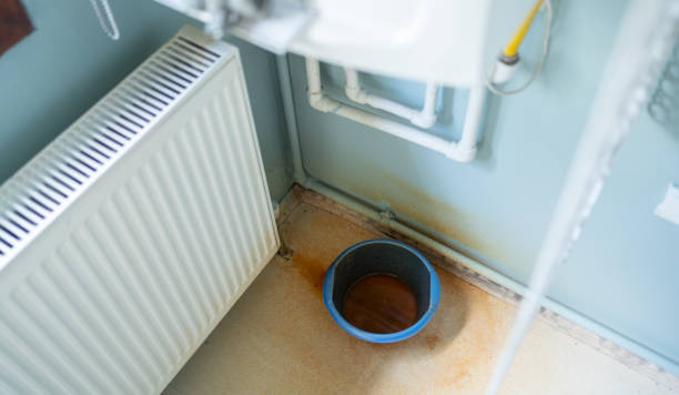 Best Emergency water extraction  in , IL