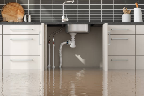 Best Flood restoration services  in , IL