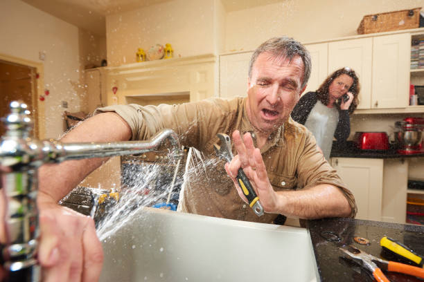Best Water damage cleanup near me  in , IL